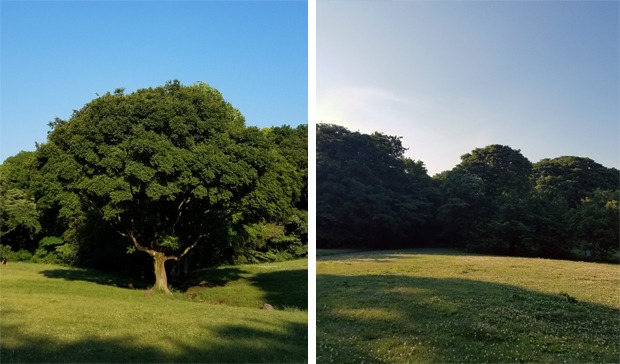20170519_164748.jpg
