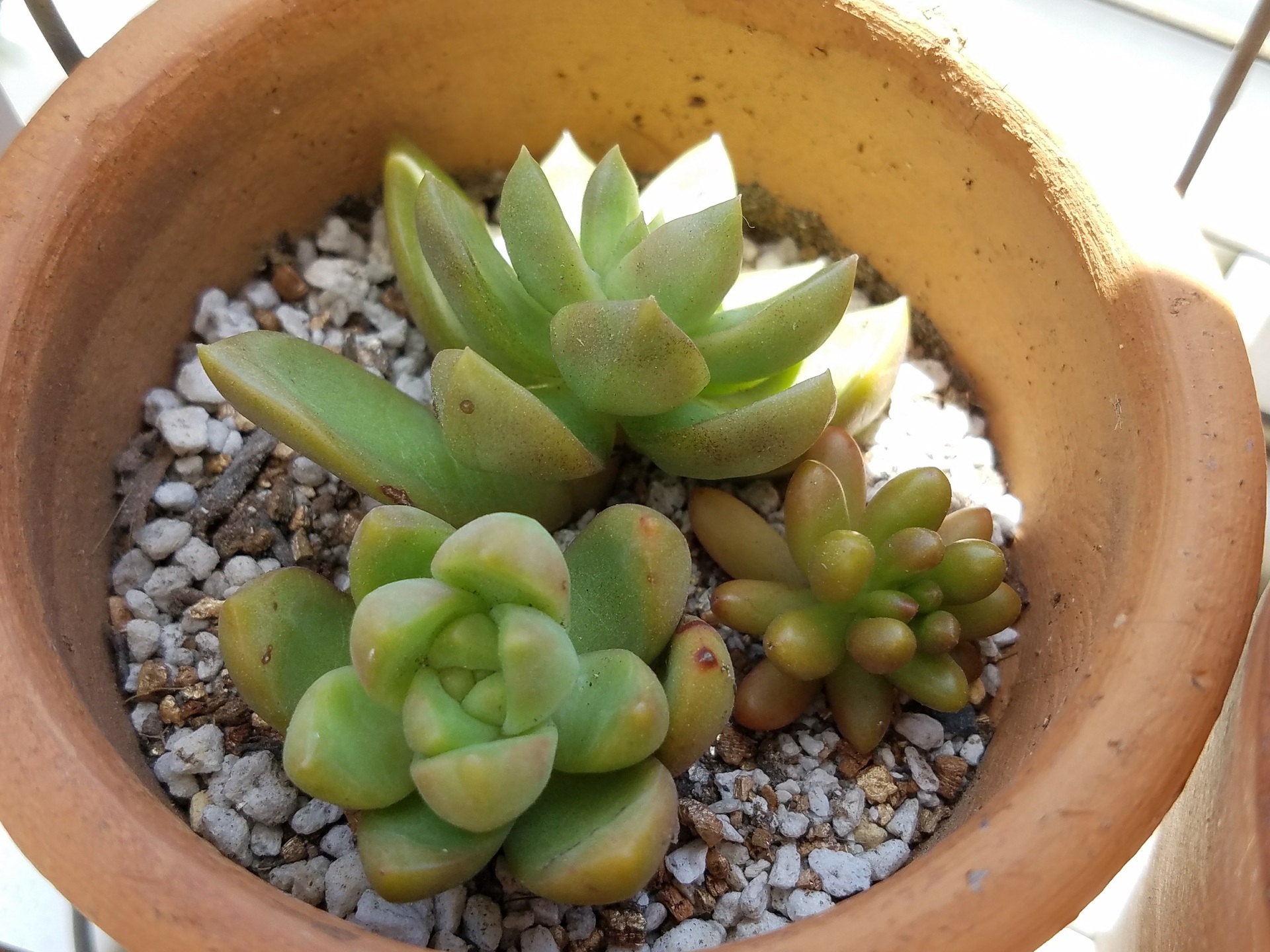 20170604_104550.jpg