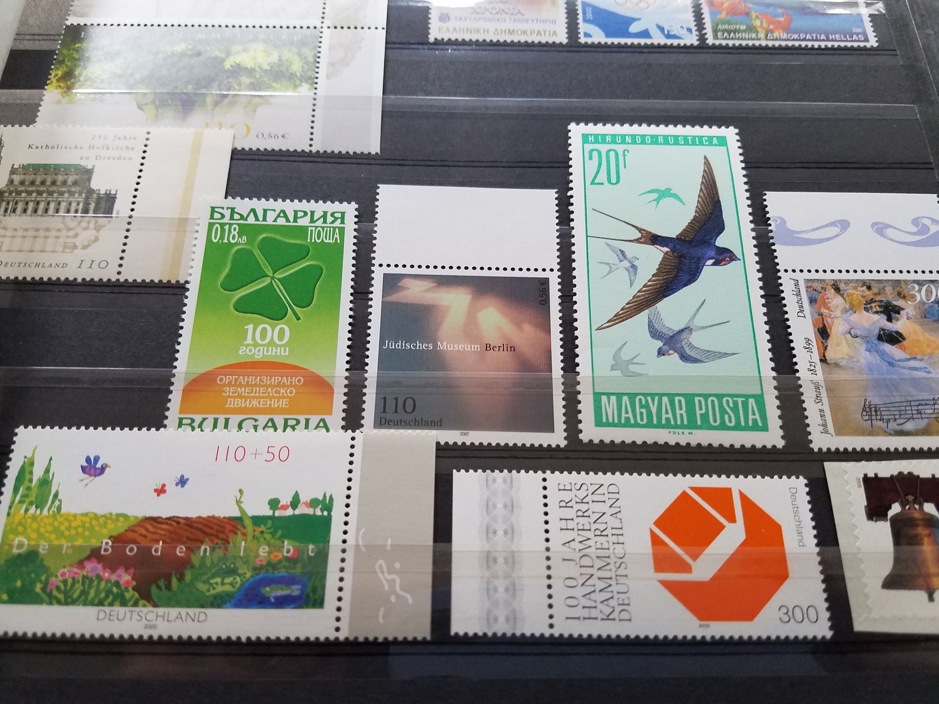 20170706_085621.jpg