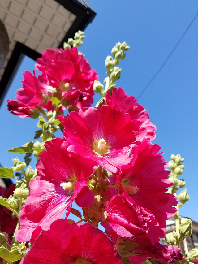 20180520_141900.jpg