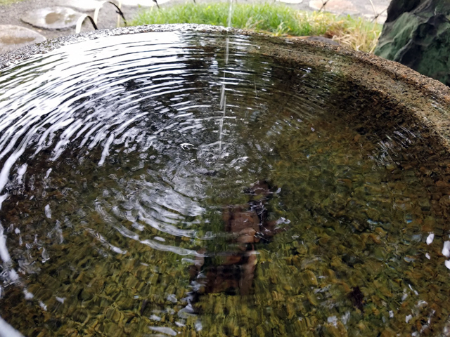 20180606_095545.jpg