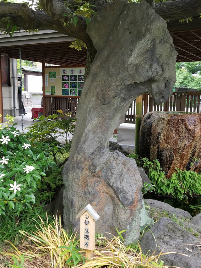 20180606_095745.jpg