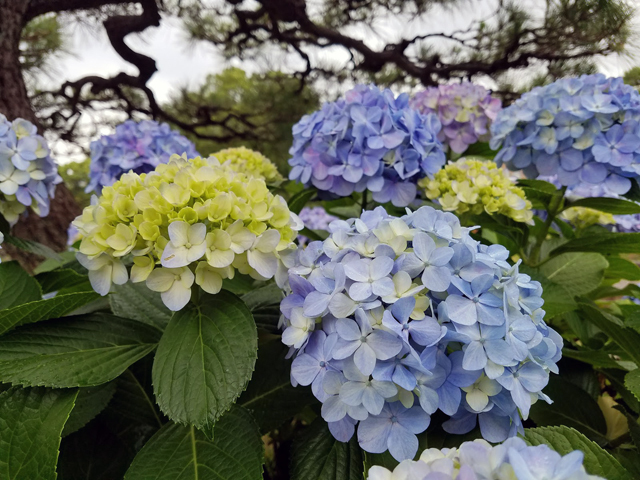 20180606_100532.jpg