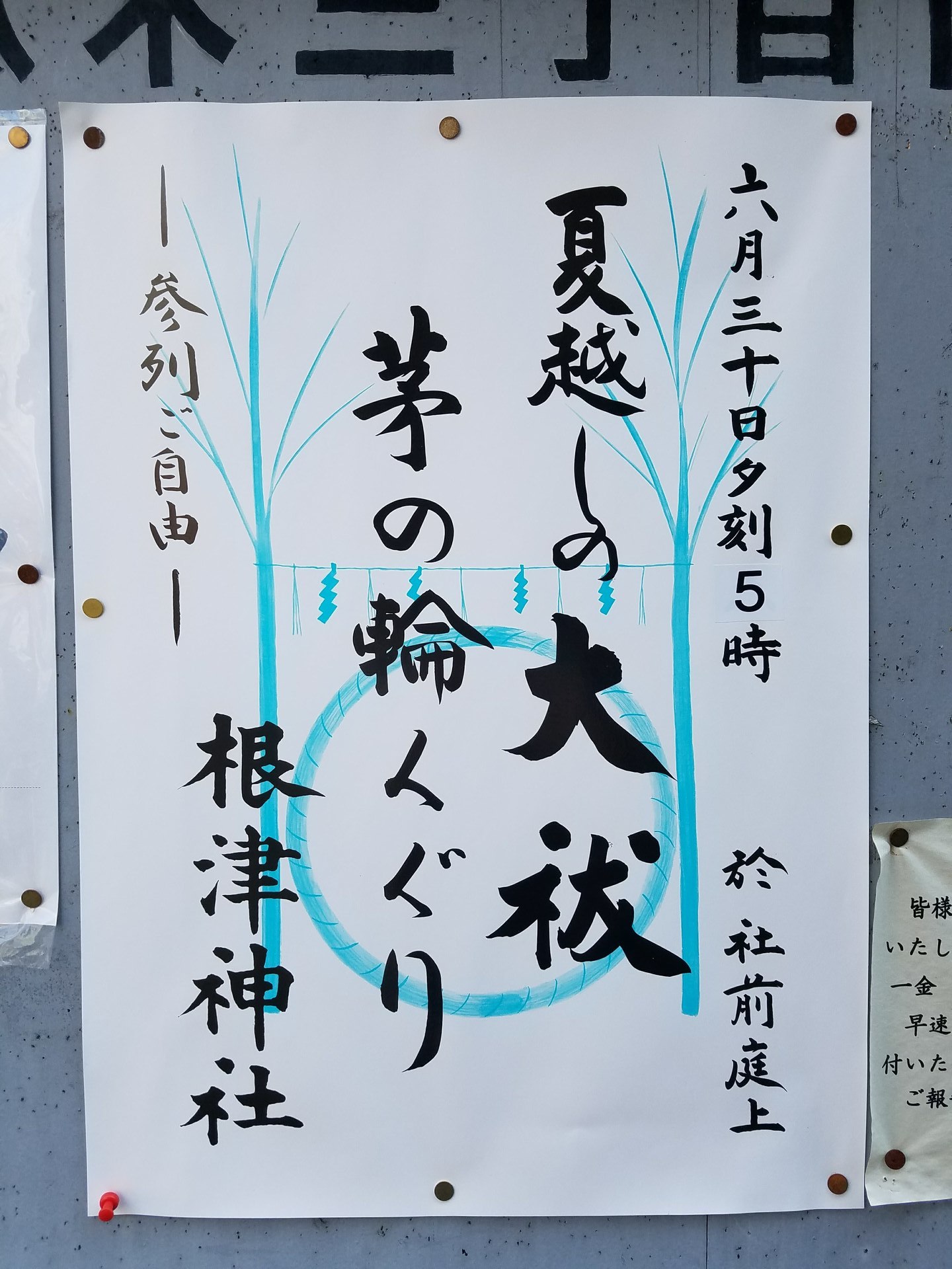 夏越の大祓.jpg