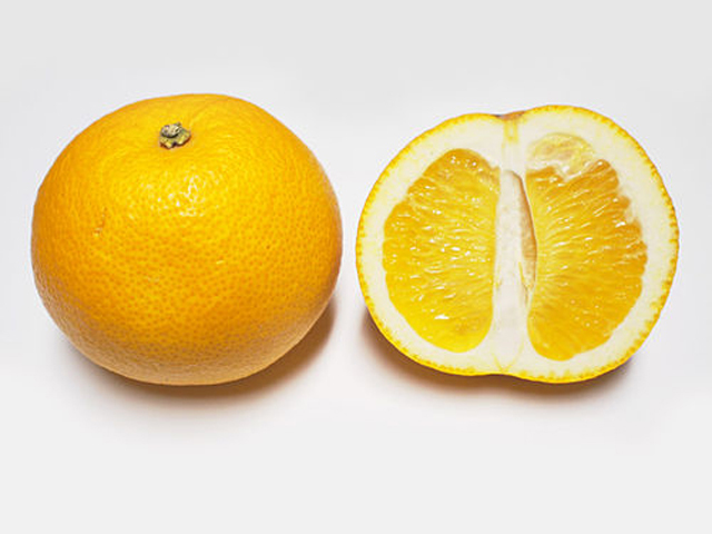 Hassaku_fruit_and_cross_section.jpg