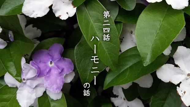 w024.jpg