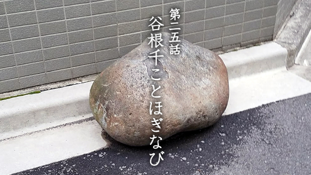 w025.jpg